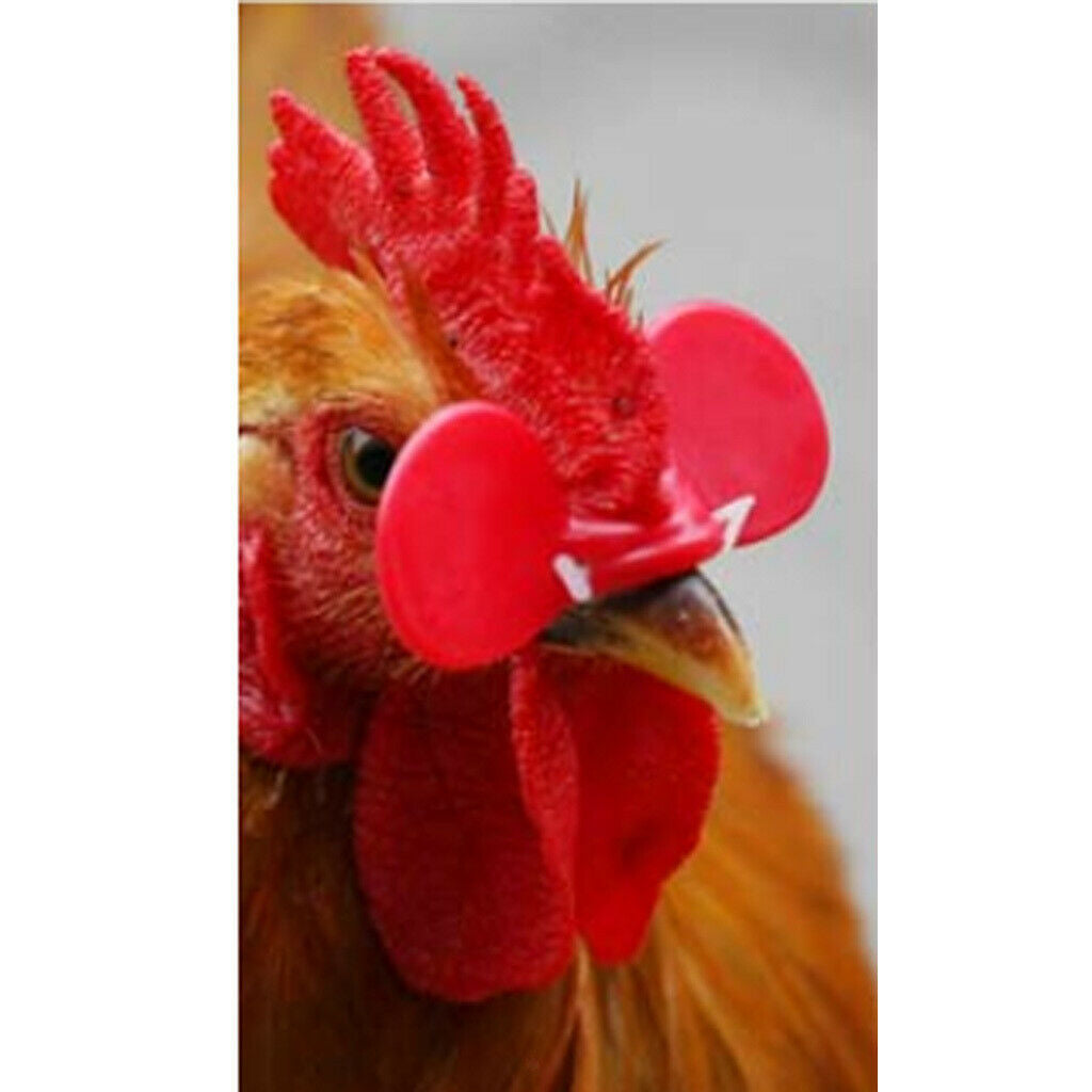 1000 Sets 1-2.25kg Poultry Chicken Eye Glasses Blinders with Pins