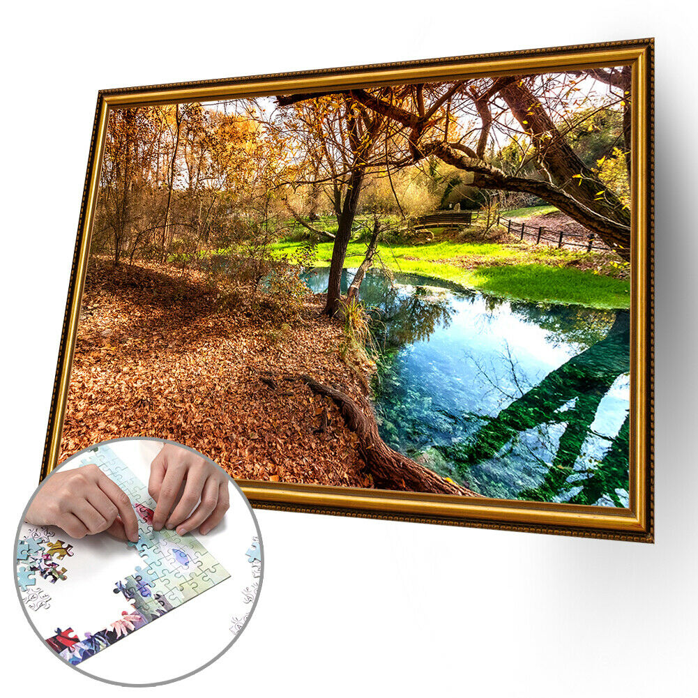 1000 Pieces DIY Paper Jigsaw Puzzle Narrow Creeks Landscape Picture Decor @