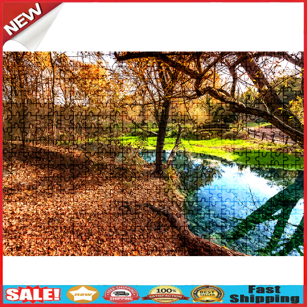 1000 Pieces DIY Paper Jigsaw Puzzle Narrow Creeks Landscape Picture Decor @