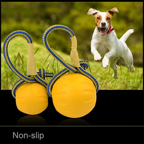 Pet Chew Toy Elastic Ball Molar Bite Resistant Tooth Toy Dog Training Ball Toys With Rope Handle, Large, Diameter: 9cm