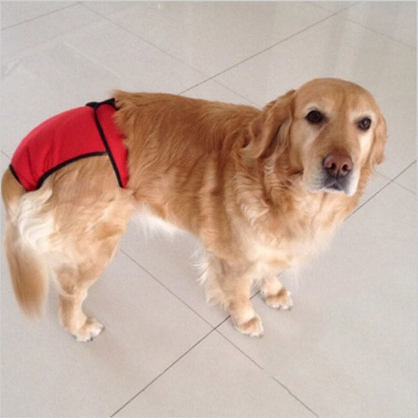 Pet Sanitary Pants Underwear, Size: M (Waistline: 45 - 55cm), Random Pattern Delivery