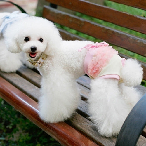 Pet Lace and String Sanitary Pants Underwear, Size: XL (Waistline: About 50cm), Random Color Delivery