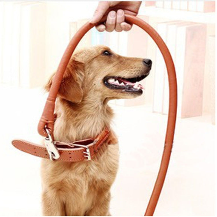 Leather Leash (Colour: Pale yellow, Size (L * W ): 1.5 * 120CM)