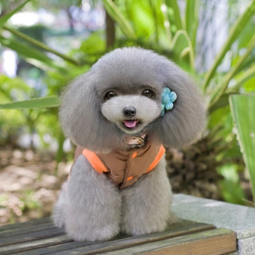 Cute Apple Pattern Pet Jacket, Size: 8, Back Length: 17cm, Chest: 29cm, Random Color Delivery
