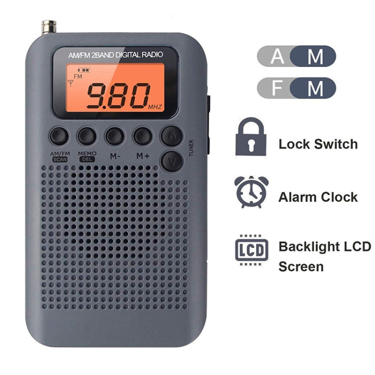 HRD-104 Mini Portable FM + AM Two Band Radio with Loudspeaker