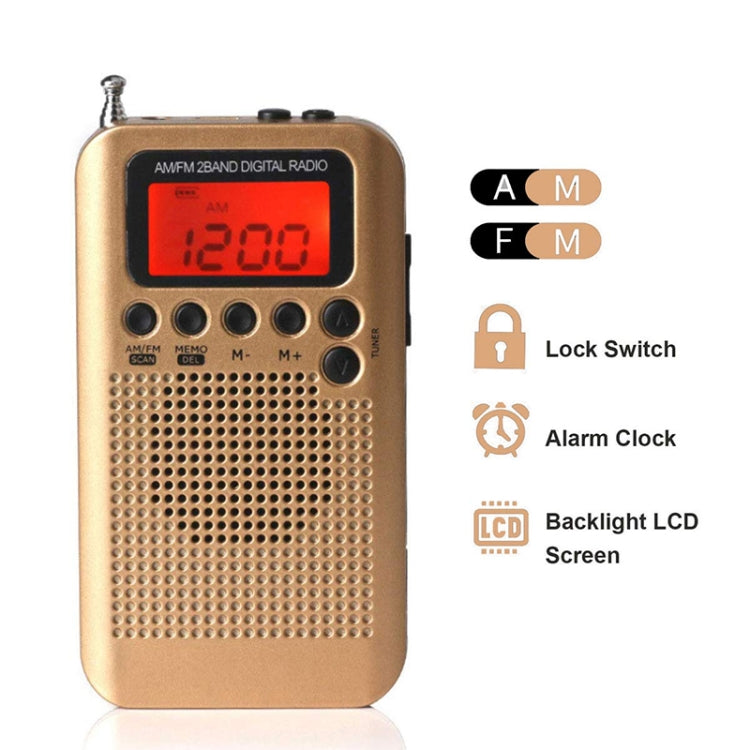 HRD-104 Mini Portable FM + AM Two Band Radio with Loudspeaker