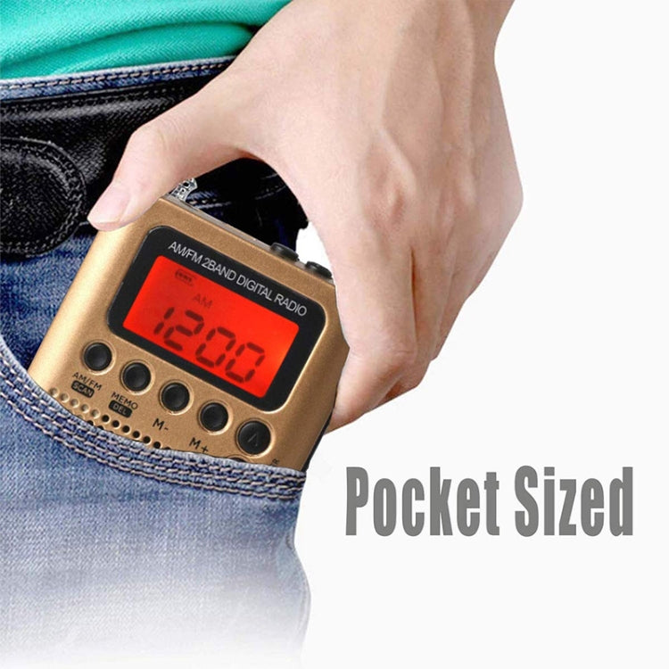 HRD-104 Mini Portable FM + AM Two Band Radio with Loudspeaker