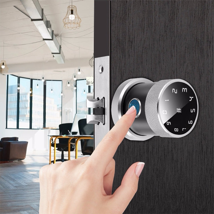 Door Lock Bluetooth Password Lock Intelligent Fingerprint Padlock Electronic Lock, Fingerprint Edition