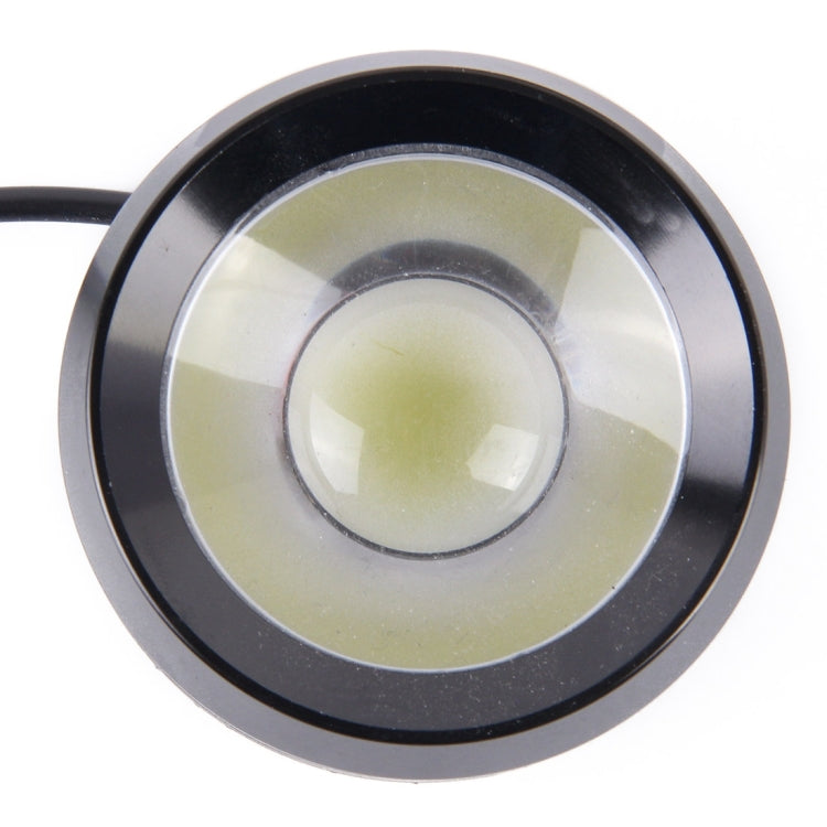 2 PCS 5W 12V  Eagle Eye light /  White Flashing Light for Vehicles, Cable Length: 80cm