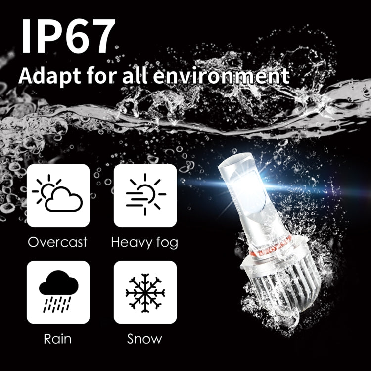 EV10LED-CSP 2 PCS 9005 / HB3 DC 9-30V 9.5W 6000K 900LM Highlight Fog Light Xenon White