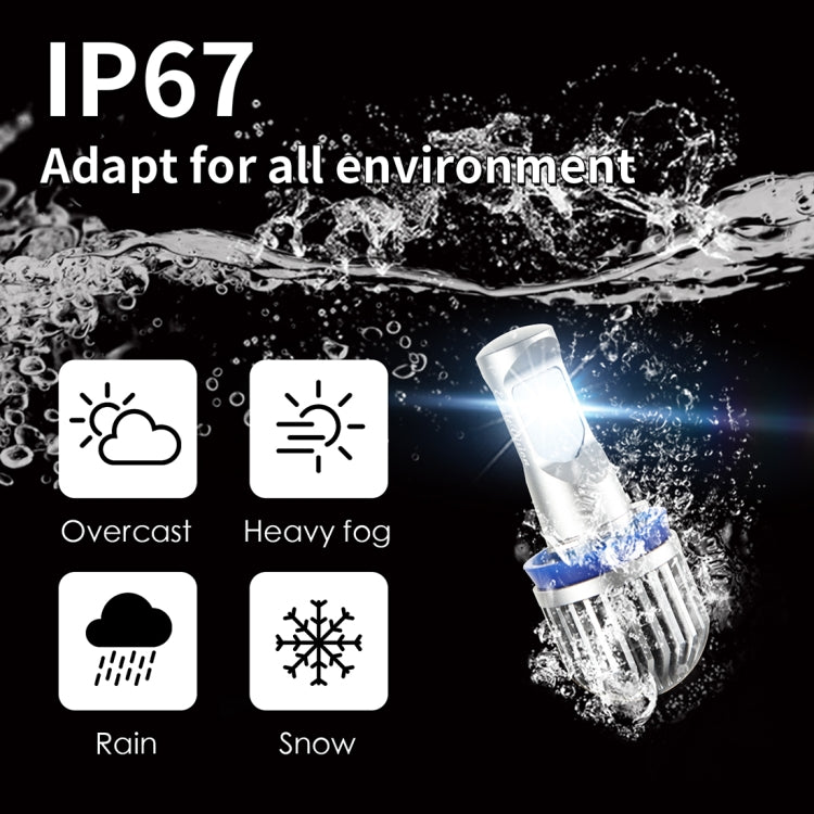 EV10LED-CSP 2 PCS H8 / H9 / H11 DC 9-30V 9.5W 6000K 900LM Highlight Fog Light Xenon White