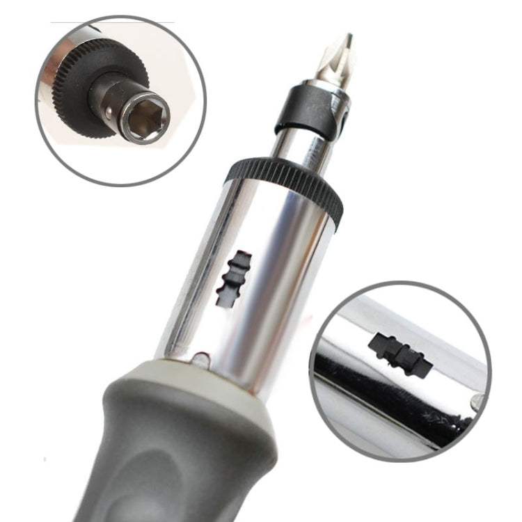 Multibit Ratcheting Screwdriver with 10 Assorted Bits