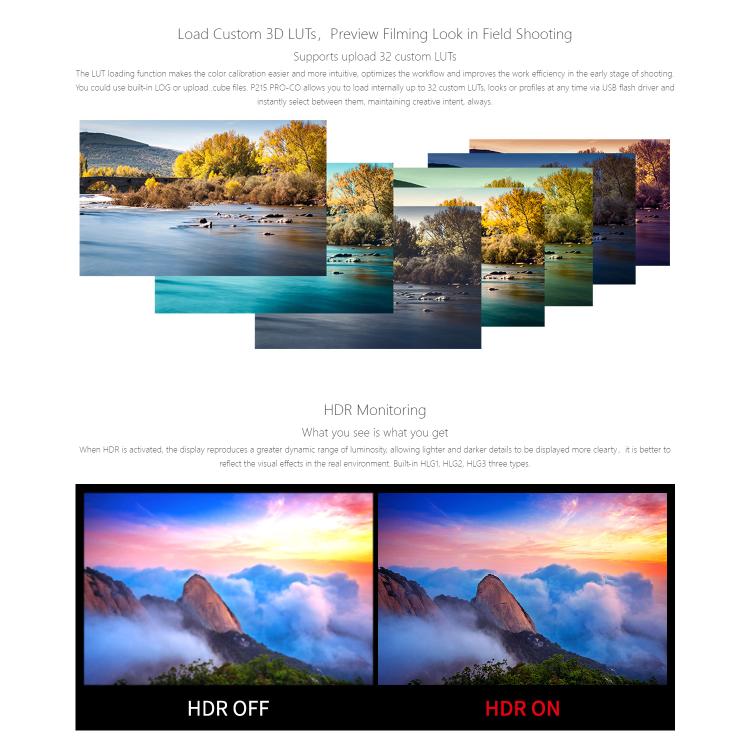 SEETEC P215 PRO-CO 21.5 inch 1000nit High Bright Portable Protective Broadcast Monitor Full HD 1920x1080 Monitor