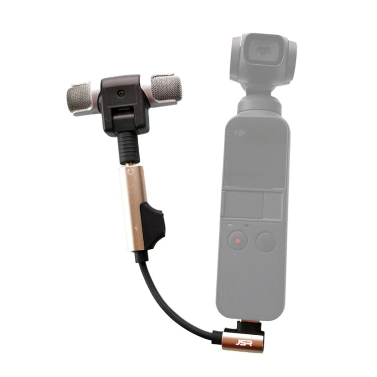 Portable Microphone for DJI OSMO Pocket Gimbal Camera, Random Color Delivery