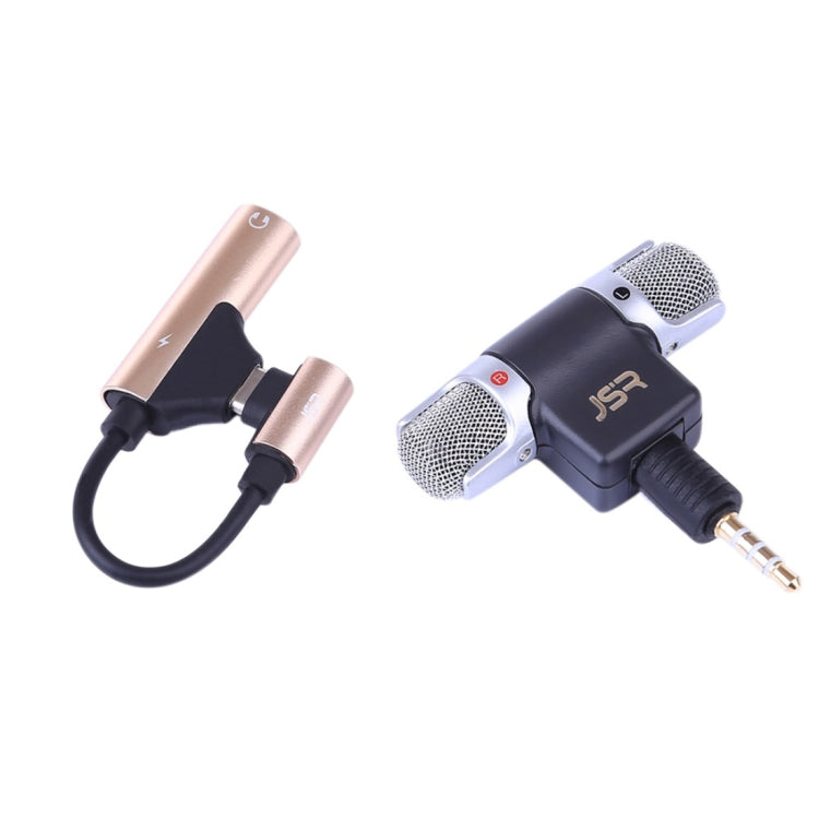 Portable Microphone for DJI OSMO Pocket Gimbal Camera, Random Color Delivery