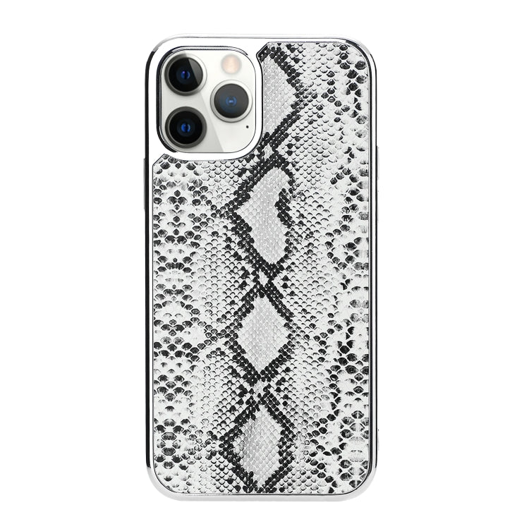 For iPhone 11 Pro Max Snake Skin Texture Shockproof Protective Case