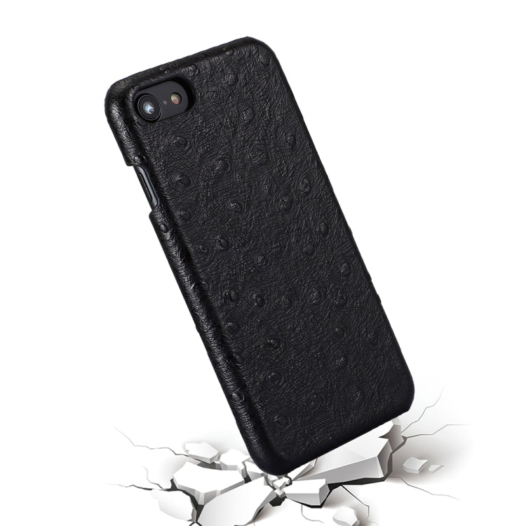 For iPhone SE 2022 / SE 2020 / 8 / 7 Ostrich Texture Head-layer Cowhide Leather Back Cover Case