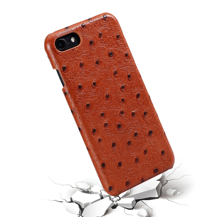 For iPhone SE 2022 / SE 2020 / 8 / 7 Ostrich Texture Head-layer Cowhide Leather Back Cover Case