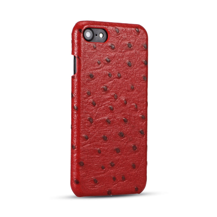 For iPhone SE 2022 / SE 2020 / 8 / 7 Ostrich Texture Head-layer Cowhide Leather Back Cover Case