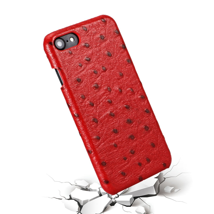 For iPhone SE 2022 / SE 2020 / 8 / 7 Ostrich Texture Head-layer Cowhide Leather Back Cover Case