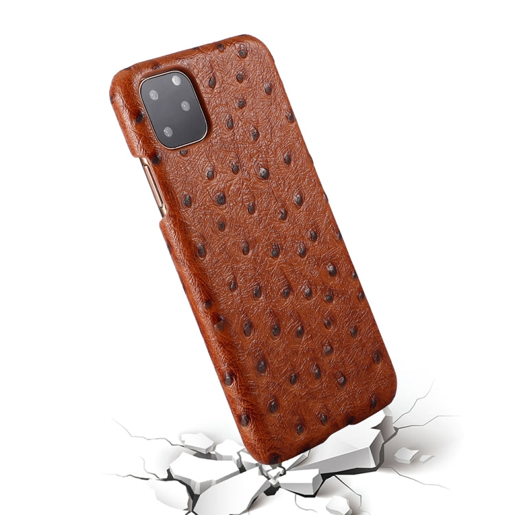 For iPhone 11 Ostrich Texture Head-layer Cowhide Leather Back Cover Case
