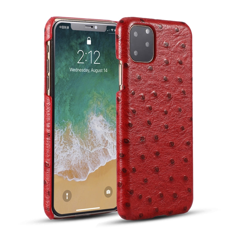 For iPhone 11 Ostrich Texture Head-layer Cowhide Leather Back Cover Case