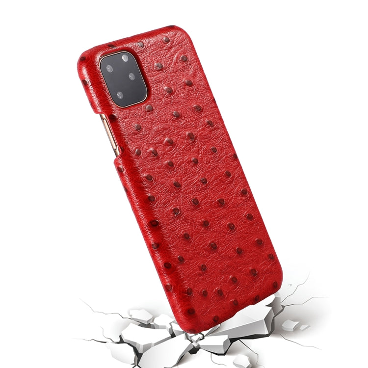 For iPhone 11 Pro Ostrich Texture Head-layer Cowhide Leather Back Cover Case