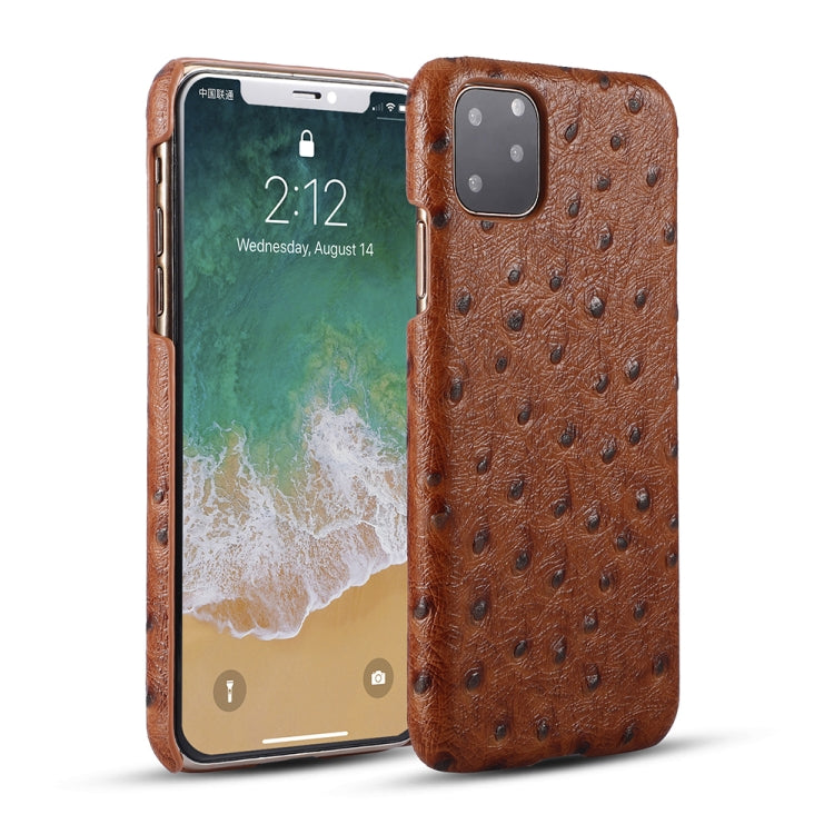 For iPhone 11 Pro Max Ostrich Texture Head-layer Cowhide Leather Back Cover Case