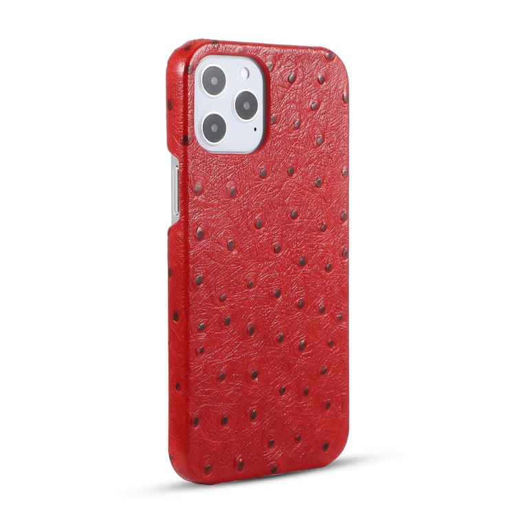 For iPhone 12 mini Ostrich Texture Head-layer Cowhide Leather Back Cover Case