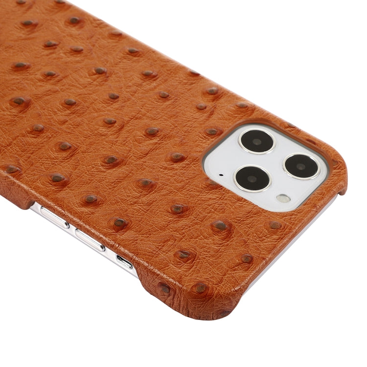 For iPhone 12 mini Ostrich Texture Head-layer Cowhide Leather Back Cover Case