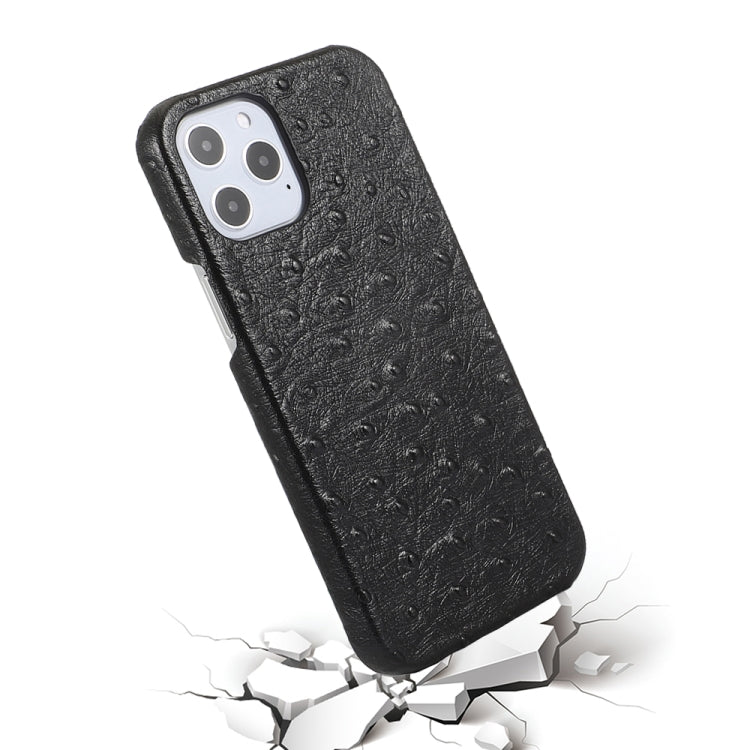 For iPhone 12 / 12 Pro Ostrich Texture Head-layer Cowhide Leather Back Cover Case