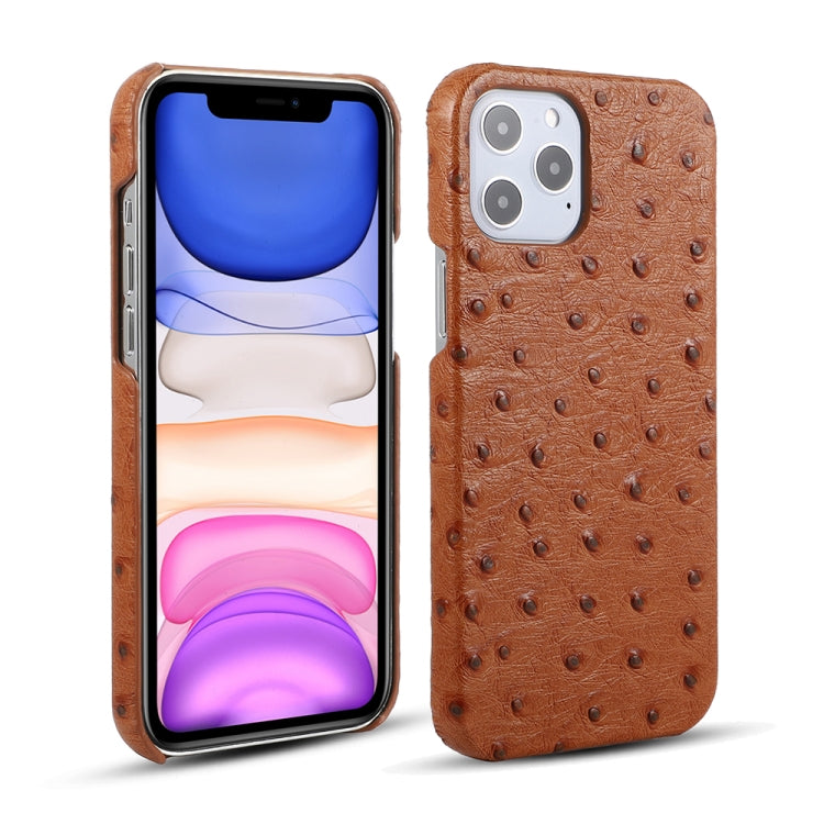 For iPhone 12 / 12 Pro Ostrich Texture Head-layer Cowhide Leather Back Cover Case