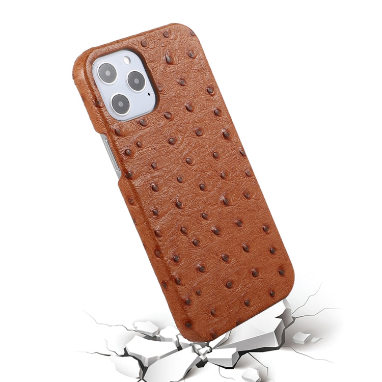 For iPhone 12 / 12 Pro Ostrich Texture Head-layer Cowhide Leather Back Cover Case