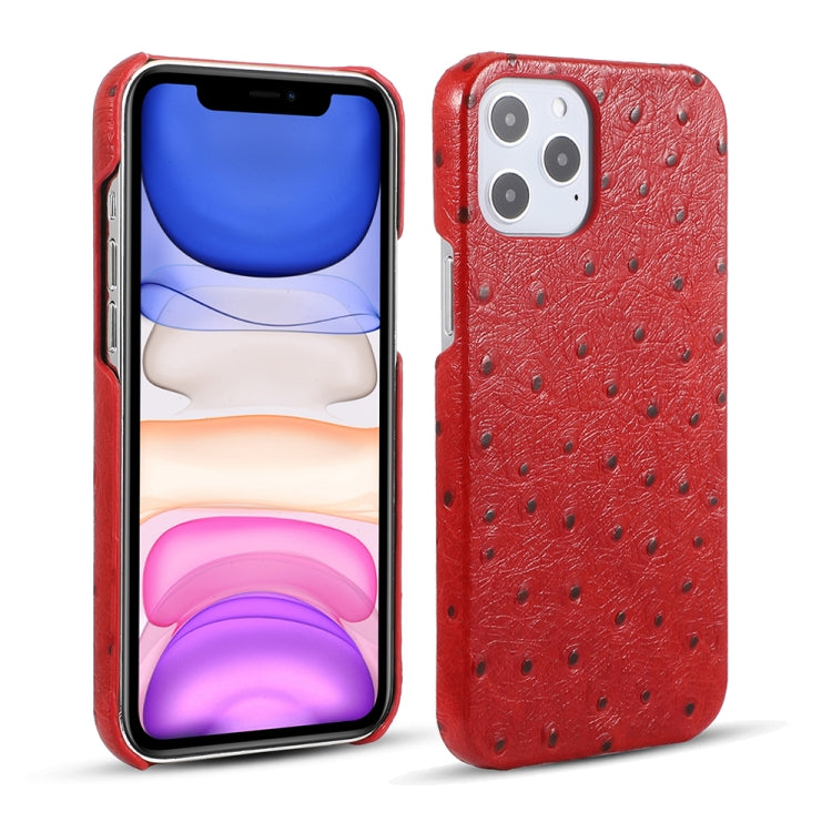 For iPhone 12 / 12 Pro Ostrich Texture Head-layer Cowhide Leather Back Cover Case