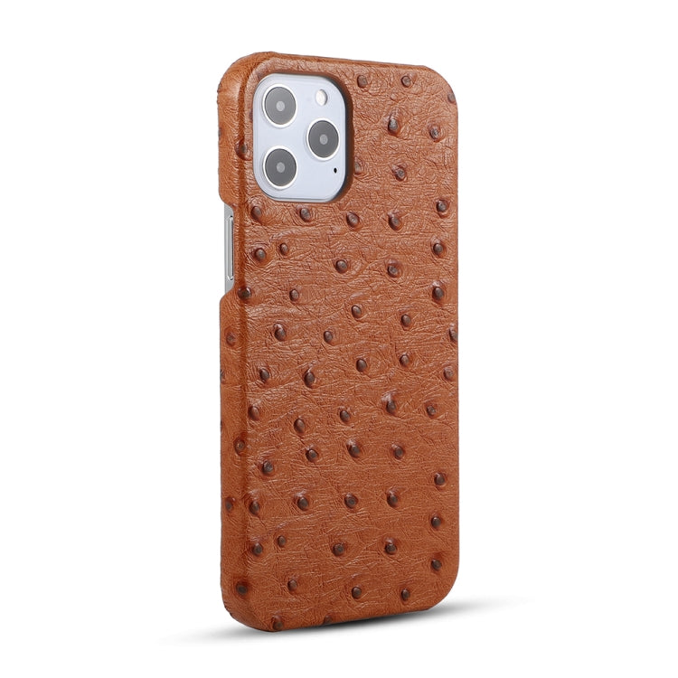 For iPhone 12 Pro Max Ostrich Texture Head-layer Cowhide Leather Back Cover Case