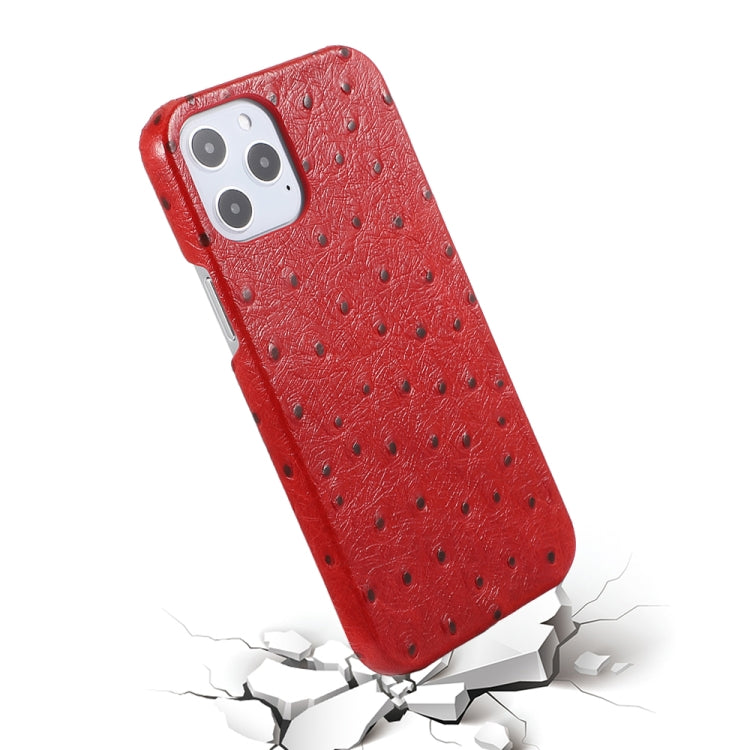 For iPhone 12 Pro Max Ostrich Texture Head-layer Cowhide Leather Back Cover Case