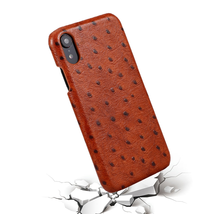 For iPhone XR Ostrich Texture Head-layer Cowhide Leather Back Cover Case