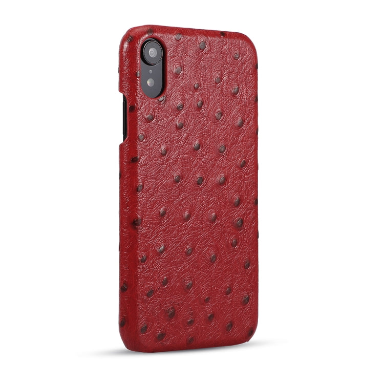 For iPhone XR Ostrich Texture Head-layer Cowhide Leather Back Cover Case