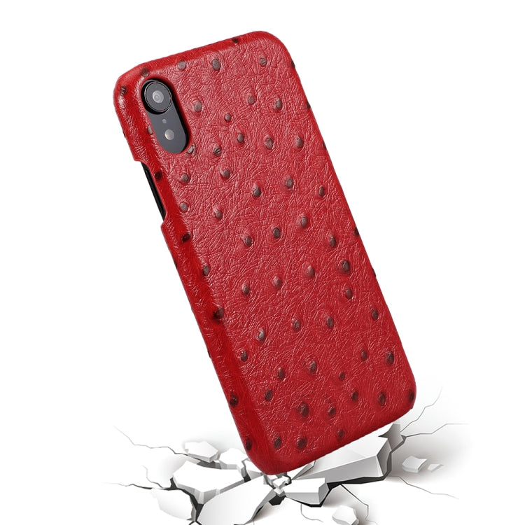 For iPhone XR Ostrich Texture Head-layer Cowhide Leather Back Cover Case