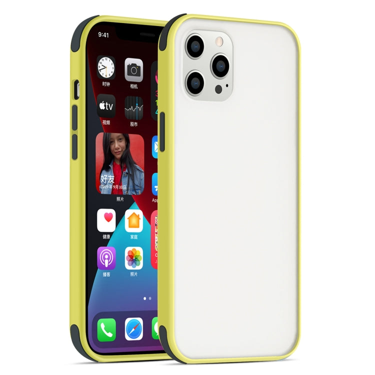 For iPhone 12 Pro Max Semi Transparent Frosted Series Shockproof Protective Case