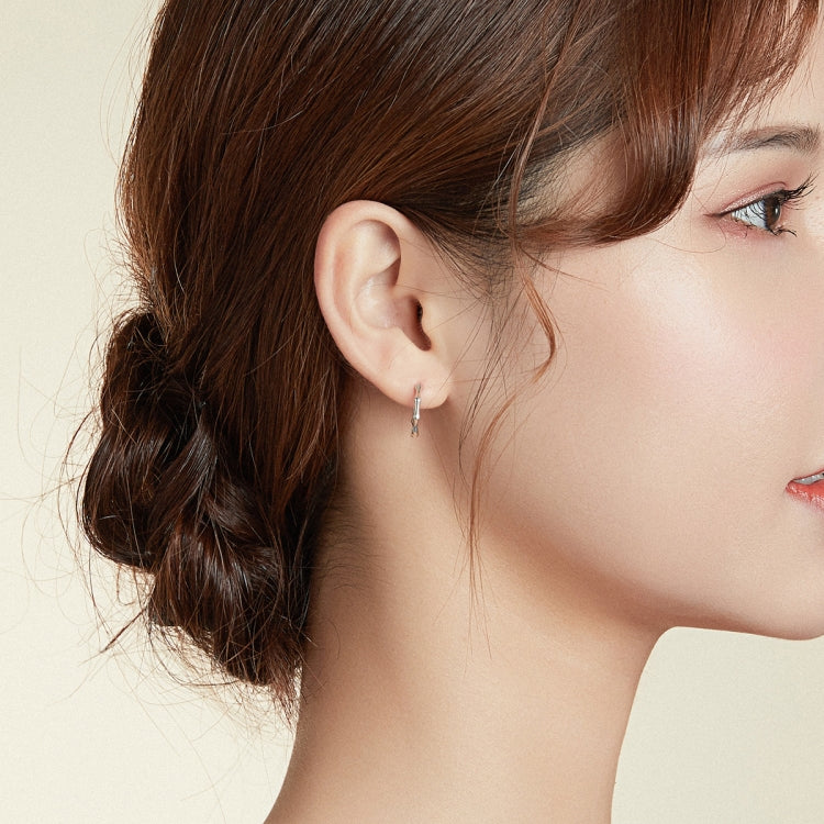 S925 Sterling Silver Fashion Bamboo Joint Women Earrings
