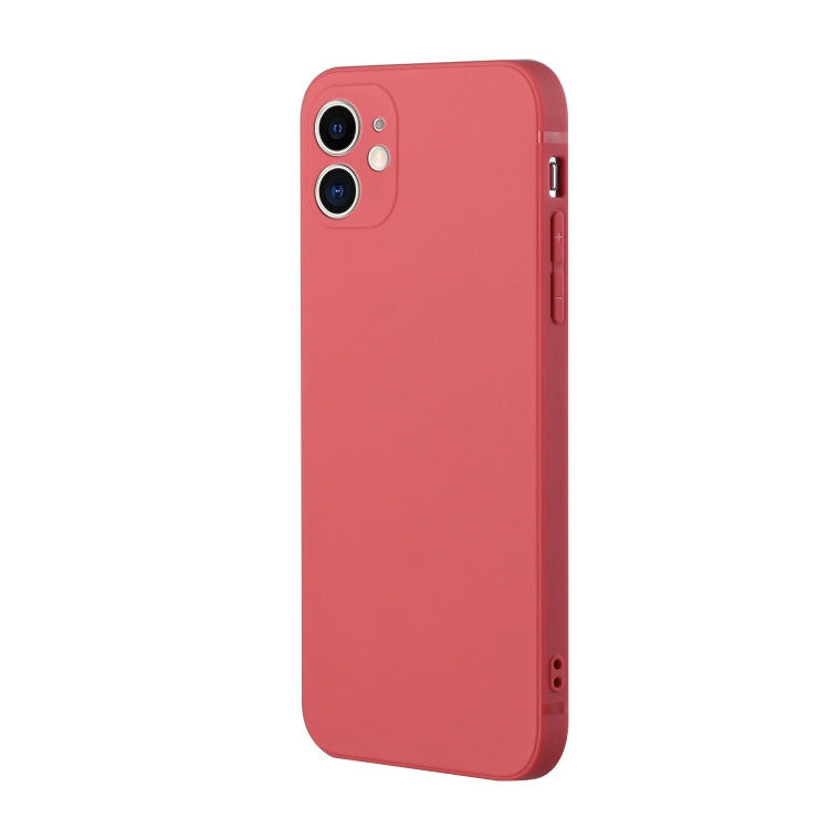 For iPhone 11 Straight Edge Solid Color TPU Shockproof Case