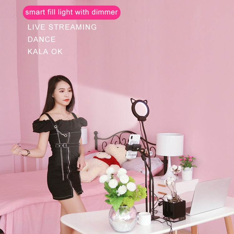 RK46 5 In 1 Cat Claw Shape Anchor Live Broadcast Beauty Selfie Fill Light Set