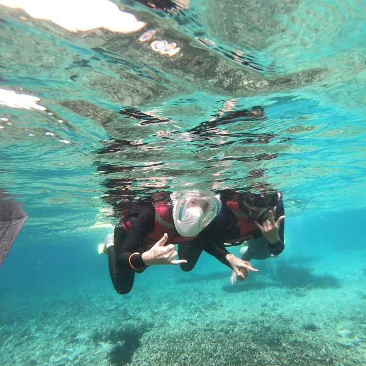 360 Degree Rotation Long Snorkel Anti-vertigo Anti-fog Large View Full Dry Diving Nask, Size: S / M