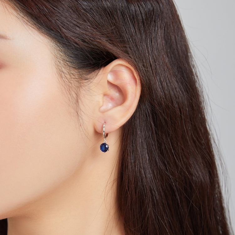 S925 Sterling Silver Water Drop Zircon Women Earrings