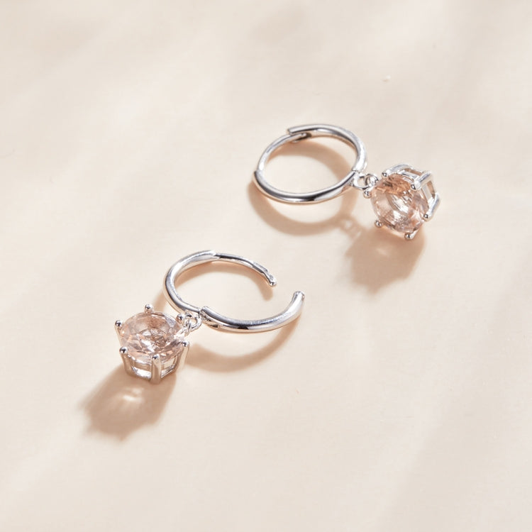 S925 Sterling Silver Water Drop Zircon Women Earrings