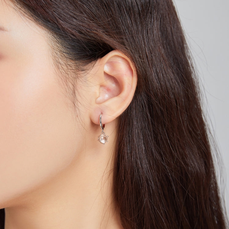 S925 Sterling Silver Water Drop Zircon Women Earrings