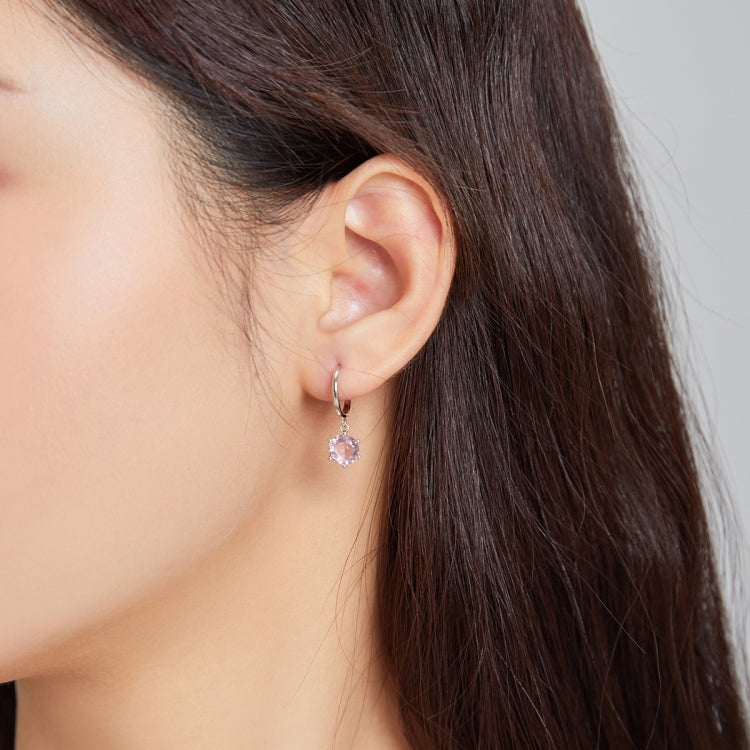 S925 Sterling Silver Water Drop Zircon Women Earrings