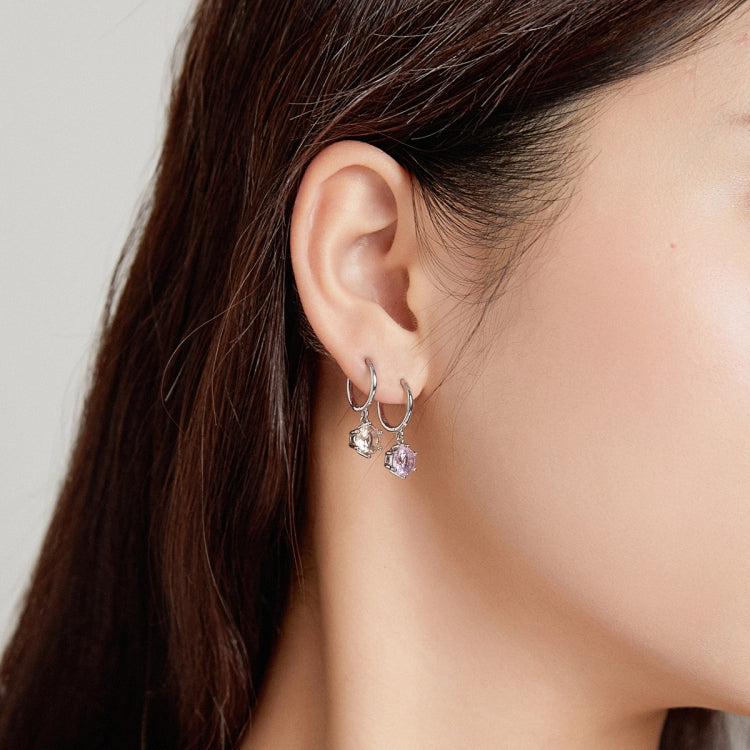 S925 Sterling Silver Water Drop Zircon Women Earrings