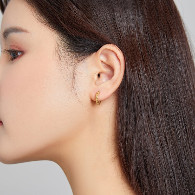 S925 Sterling Silver Golden Gearwheel Women Earrings